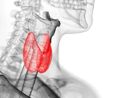 Krajewska Jolanta, lek. med. Spec. endokrynolog, internista. Gabinet endokrynologiczny